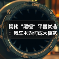 揭秘“黑檀”平替优选:风车木为何成大板茶桌高端材质新宠?(图4) 揭秘“黑檀”平替优选:风车木为何成大板茶桌高端材质新宠?(图4)
