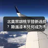 北美黑胡桃平替新选择?斯温漆木凭何成为市场新宠(图2) 北美黑胡桃平替新选择?斯温漆木凭何成为市场新宠(图2)