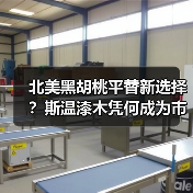 北美黑胡桃平替新选择?斯温漆木凭何成为市场新宠(图1) 北美黑胡桃平替新选择?斯温漆木凭何成为市场新宠(图1)