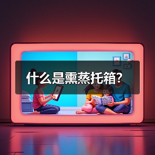 什么是熏蒸托箱?(图2) 什么是熏蒸托箱?(图2)
