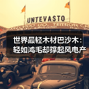 世界最轻木材巴沙木:轻如鸿毛却撑起风电产业半边天(图4) 世界最轻木材巴沙木:轻如鸿毛却撑起风电产业半边天(图4)