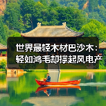 世界最轻木材巴沙木:轻如鸿毛却撑起风电产业半边天(图2) 世界最轻木材巴沙木:轻如鸿毛却撑起风电产业半边天(图2)