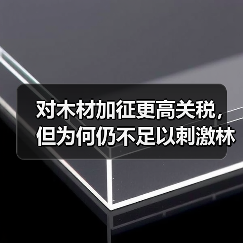 对木材加征更高关税,但为何仍不足以刺激林业投资?(图3) 对木材加征更高关税,但为何仍不足以刺激林业投资?(图3)