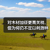 对木材加征更高关税,但为何仍不足以刺激林业投资?(图2) 对木材加征更高关税,但为何仍不足以刺激林业投资?(图2)