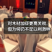 对木材加征更高关税,但为何仍不足以刺激林业投资?(图4) 对木材加征更高关税,但为何仍不足以刺激林业投资?(图4)