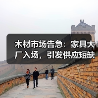 木材市场告急:家具大厂入场,引发供应短缺与价格攀升!(图4) 木材市场告急:家具大厂入场,引发供应短缺与价格攀升!(图4)