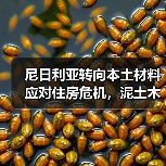 尼日利亚转向本土材料应对住房危机,泥土木材竹子成建筑新选择(图4) 尼日利亚转向本土材料应对住房危机,泥土木材竹子成建筑新选择(图4)