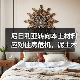 尼日利亚转向本土材料应对住房危机,泥土木材竹子成建筑新选择(图3) 尼日利亚转向本土材料应对住房危机,泥土木材竹子成建筑新选择(图3)