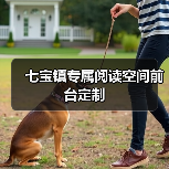 七宝镇专属阅读空间前台定制(图4) 七宝镇专属阅读空间前台定制(图4)