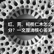 红、黄、褐榄仁木怎么分?一文厘清核心差异与应用边界(图3) 红、黄、褐榄仁木怎么分?一文厘清核心差异与应用边界(图3)