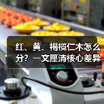 红、黄、褐榄仁木怎么分?一文厘清核心差异与应用边界(图4) 红、黄、褐榄仁木怎么分?一文厘清核心差异与应用边界(图4)