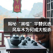 揭秘“黑檀”平替优选:风车木为何成大板茶桌高端材质新宠?(图2) 揭秘“黑檀”平替优选:风车木为何成大板茶桌高端材质新宠?(图2)