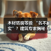木材防腐等级 “名不副实”?建筑专家揭秘 H3 失效背后的设计危机(图4) 木材防腐等级 “名不副实”?建筑专家揭秘 H3 失效背后的设计危机(图4)