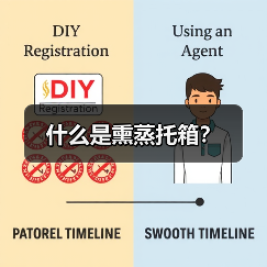 什么是熏蒸托箱?(图4) 什么是熏蒸托箱?(图4)