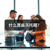 什么是熏蒸托箱?(图1) 什么是熏蒸托箱?(图1)