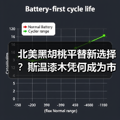 北美黑胡桃平替新选择?斯温漆木凭何成为市场新宠(图1) 北美黑胡桃平替新选择?斯温漆木凭何成为市场新宠(图1)