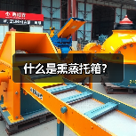 什么是熏蒸托箱?(图3) 什么是熏蒸托箱?(图3)