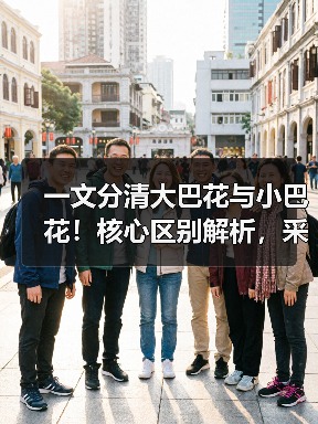 一文分清大巴花与小巴花!核心区别解析,采购避坑必看(图3) 一文分清大巴花与小巴花!核心区别解析,采购避坑必看(图3)