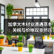 加拿大木材业遭遇寒冬:关税与价格双重挤压下的生存挑战(图1) 加拿大木材业遭遇寒冬:关税与价格双重挤压下的生存挑战(图1)
