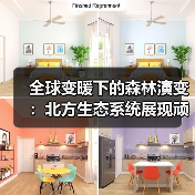 全球变暖下的森林演变:北方生态系统展现顽强生命力(图1) 全球变暖下的森林演变:北方生态系统展现顽强生命力(图1)