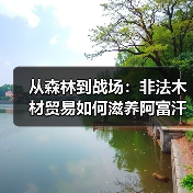 从森林到战场:非法木材贸易如何滋养阿富汗冲突经济?(图4) 从森林到战场:非法木材贸易如何滋养阿富汗冲突经济?(图4)