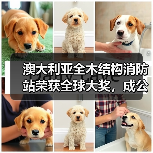 澳大利亚全木结构消防站荣获全球大奖,成公共基础设施可持续典范(图2) 澳大利亚全木结构消防站荣获全球大奖,成公共基础设施可持续典范(图2)