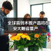 全球首创木板产品将在安大略省量产(图2) 全球首创木板产品将在安大略省量产(图2)