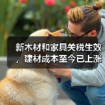新木材和家具关税生效,建材成本至今已上涨34%!(图1) 新木材和家具关税生效,建材成本至今已上涨34%!(图1)