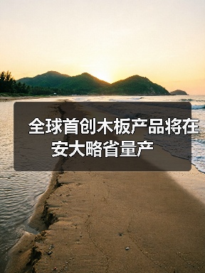 全球首创木板产品将在安大略省量产(图4) 全球首创木板产品将在安大略省量产(图4)