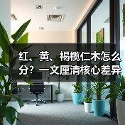 红、黄、褐榄仁木怎么分?一文厘清核心差异与应用边界(图2) 红、黄、褐榄仁木怎么分?一文厘清核心差异与应用边界(图2)