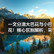 一文分清大巴花与小巴花!核心区别解析,采购避坑必看(图1) 一文分清大巴花与小巴花!核心区别解析,采购避坑必看(图1)