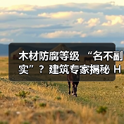 木材防腐等级 “名不副实”?建筑专家揭秘 H3 失效背后的设计危机(图3) 木材防腐等级 “名不副实”?建筑专家揭秘 H3 失效背后的设计危机(图3)