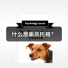 什么是熏蒸托箱?(图1) 什么是熏蒸托箱?(图1)