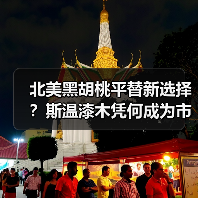 北美黑胡桃平替新选择?斯温漆木凭何成为市场新宠(图4) 北美黑胡桃平替新选择?斯温漆木凭何成为市场新宠(图4)