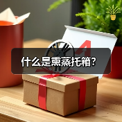什么是熏蒸托箱?(图2) 什么是熏蒸托箱?(图2)