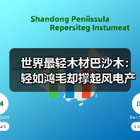 世界最轻木材巴沙木:轻如鸿毛却撑起风电产业半边天(图2) 世界最轻木材巴沙木:轻如鸿毛却撑起风电产业半边天(图2)