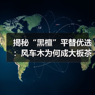 揭秘“黑檀”平替优选:风车木为何成大板茶桌高端材质新宠?(图2) 揭秘“黑檀”平替优选:风车木为何成大板茶桌高端材质新宠?(图2)
