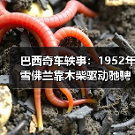 巴西奇车轶事：1952年雪佛兰靠木柴驱动驰骋半世纪