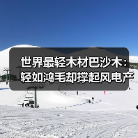 世界最轻木材巴沙木:轻如鸿毛却撑起风电产业半边天(图3) 世界最轻木材巴沙木:轻如鸿毛却撑起风电产业半边天(图3)