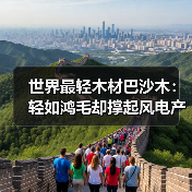 世界最轻木材巴沙木:轻如鸿毛却撑起风电产业半边天(图4) 世界最轻木材巴沙木:轻如鸿毛却撑起风电产业半边天(图4)