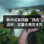 新中式家具圈“顶流”选材:爱里古夷苏木凭什么圈粉无数?(图4) 新中式家具圈“顶流”选材:爱里古夷苏木凭什么圈粉无数?(图4)