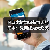 风靡木材与家装市场的唐木：凭何成为大众优选材种？（图3）