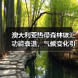 澳大利亚热带森林碳汇功能衰退，气候变化引发生态临界点预警（图4）