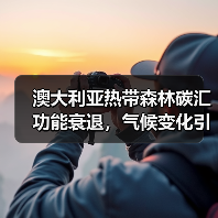 澳大利亚热带森林碳汇功能衰退，气候变化引发生态临界点预警（图2）