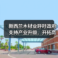 新西兰木材业呼吁政府支持产业升级，开拓高价值市场（图2）