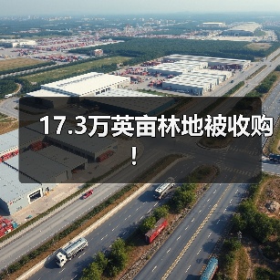 17.3万英亩林地被收购!(图2) 17.3万英亩林地被收购!(图2)
