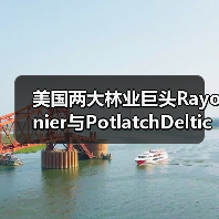 美国两大林业巨头Rayonier与PotlatchDeltic合并，缔造420万英亩林地管理版图（图3）