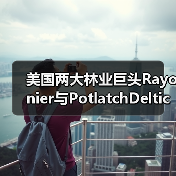 美国两大林业巨头Rayonier与PotlatchDeltic合并，缔造420万英亩林地管理版图