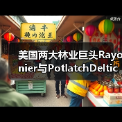 美国两大林业巨头Rayonier与PotlatchDeltic合并，缔造420万英亩林地管理版图（图4）