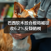 巴西软木胶合板将被征收6.2%反倾销税（图2）